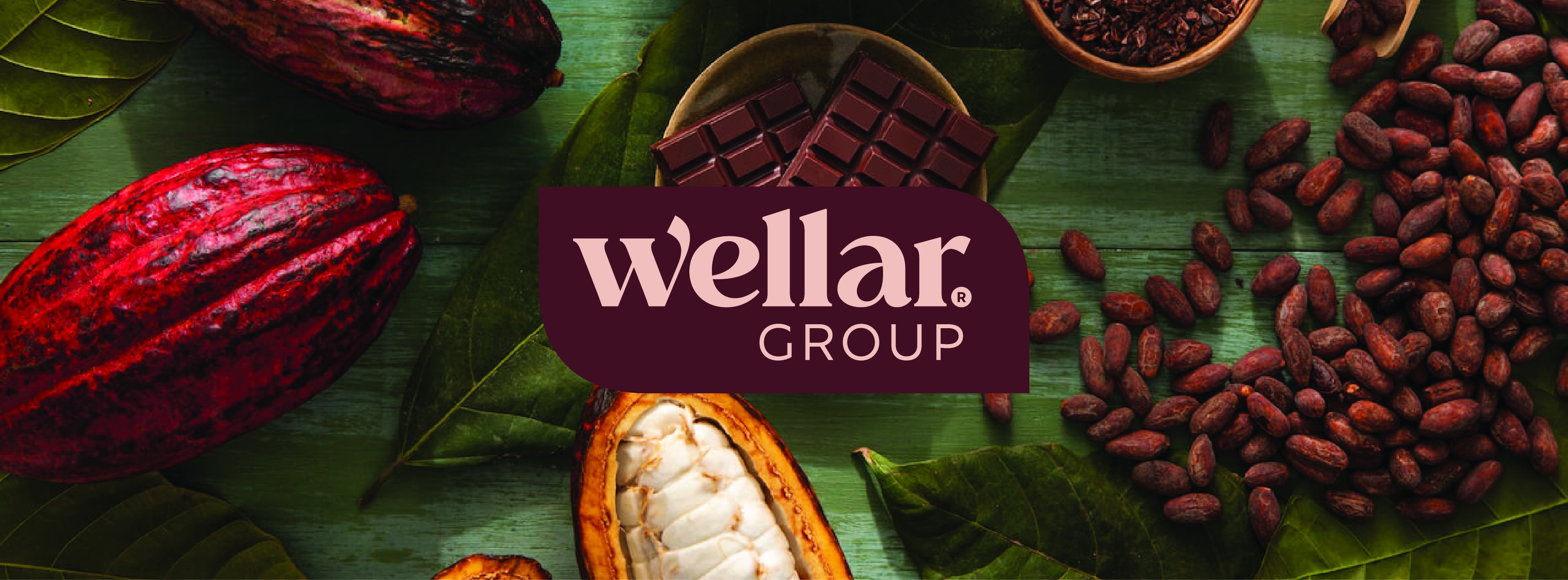 Wellar Group – Enterprise WiFi & Ethernet Network Deployment with Aruba Networks